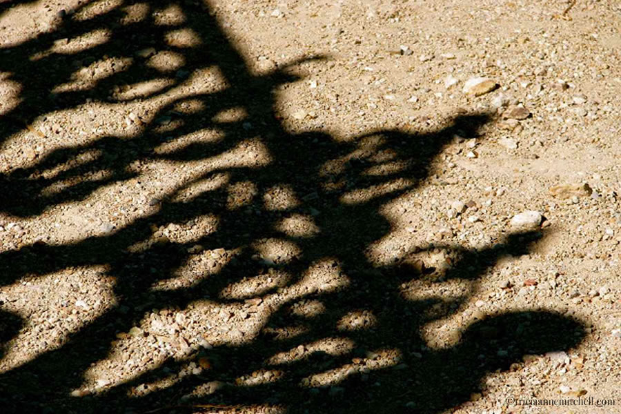 Virginia City Nevada Cemetery Shadows