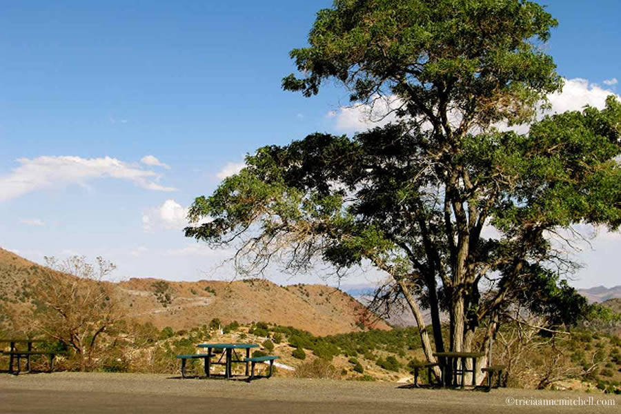 Virginia City Nevada Landscape