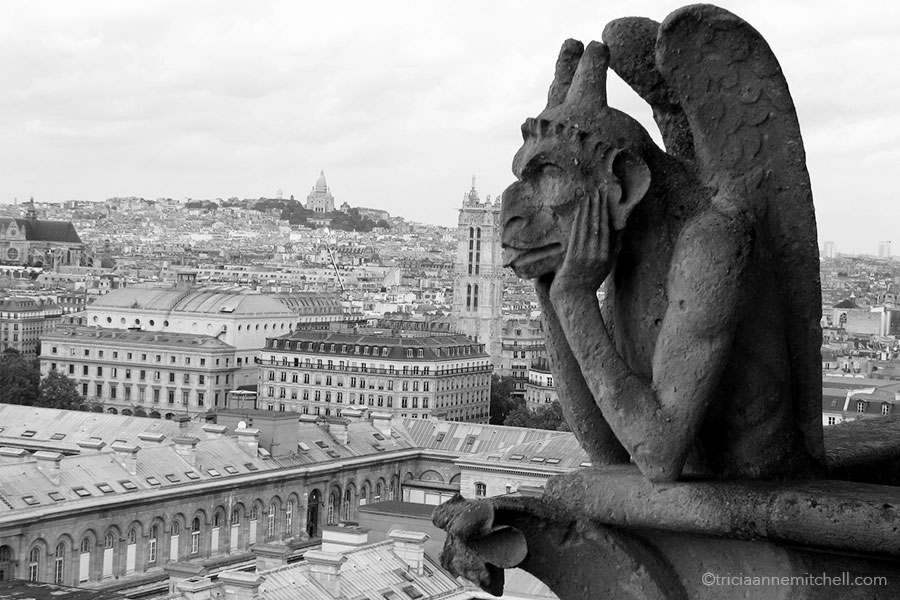 gargoyle-gazing-at-sacre-coeur-from-notre-dame-in-paris