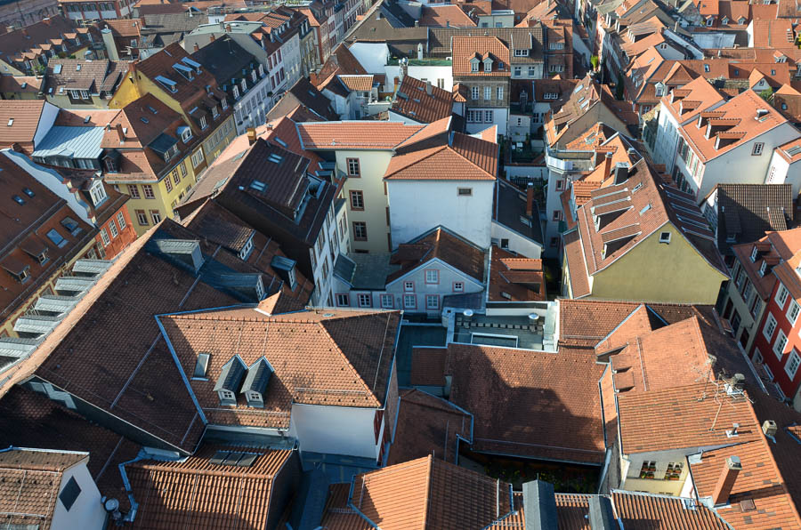 An overhead view of the red rooftops in Heidelberg's densely packed Altstadt (Old Town).