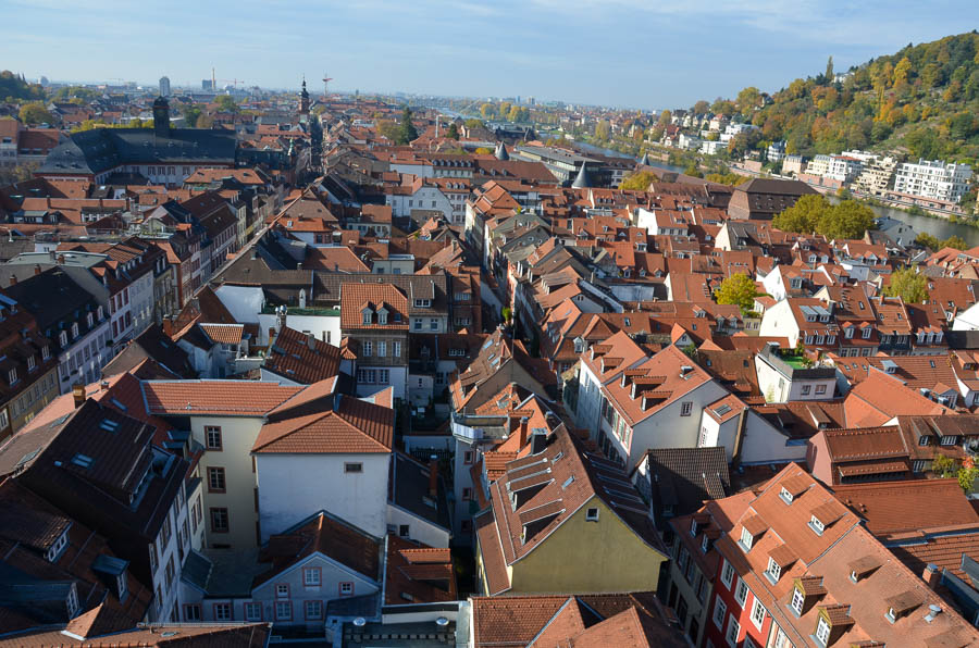 An aerial view of Heidelberg, Germany, looking west over the terracotta rooftops of the Old Town and Neuenheim district. Autumn leaves cover the hillside over Neuenheim's buildings.