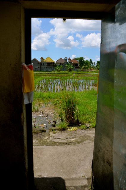 A rice-paddy view from a home in Ubud, Bali.