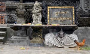 A chicken walks past a Balinese temple's statues, in Jimbaran.