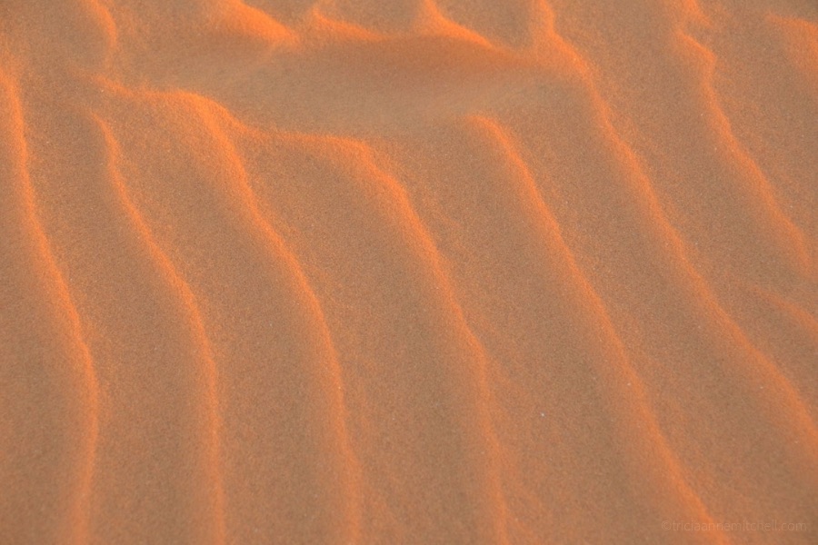 A close-up of the sand's wavy patterns at the Mui Ne Sand Dunes.