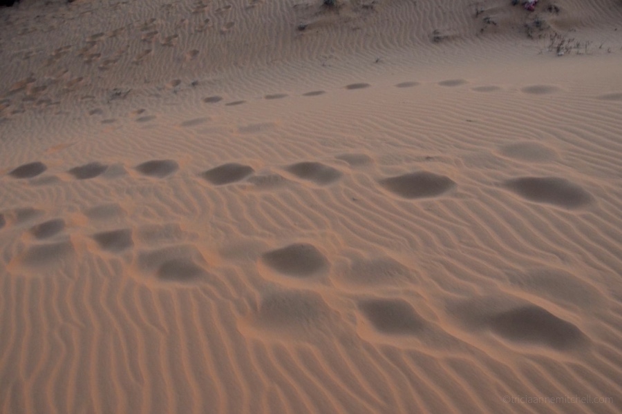Mui Ne Sand Dunes footprints
