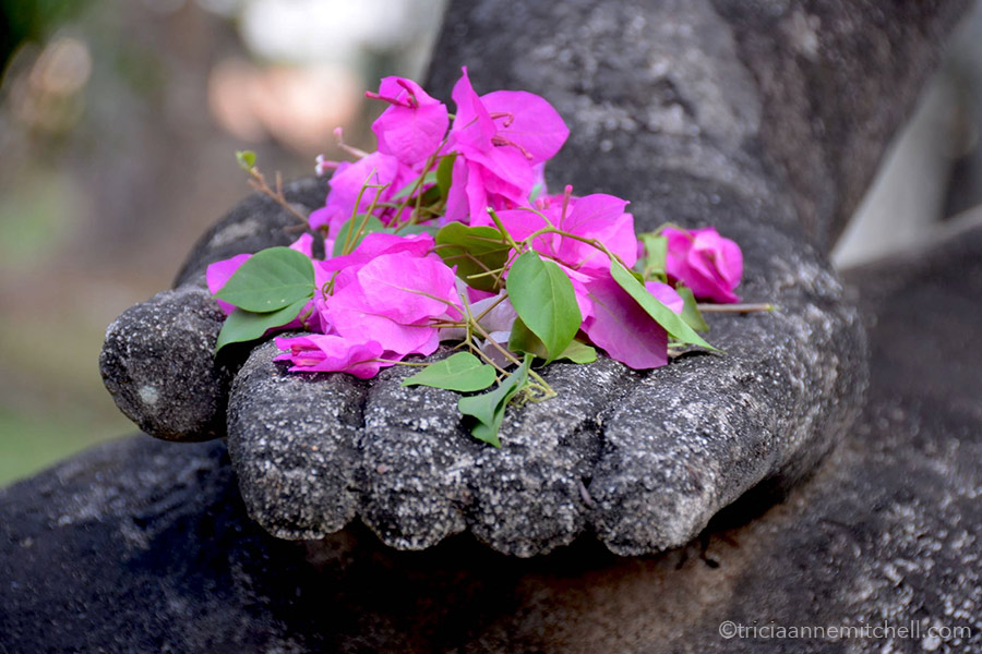 Buddha Park Bougainvillea Vientiane Laos