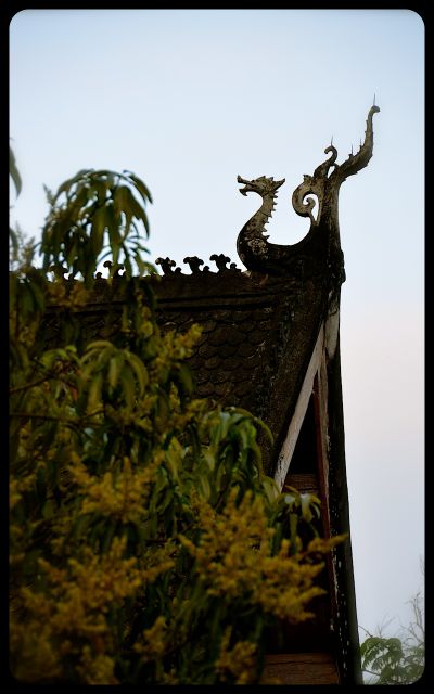 Wat Detail in Luang Prabang