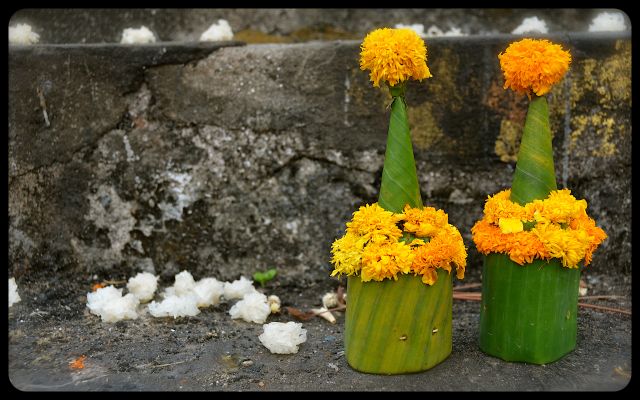 Offering at Luang Prabang Temple