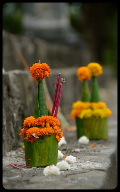Offerings at Luang Prabang Wat