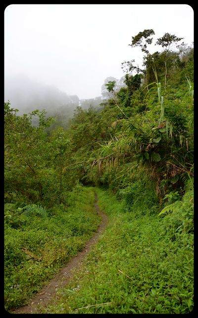 Batad Trek trail