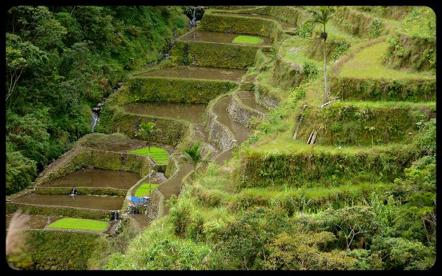 Batad Terraces