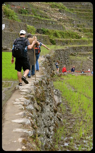 Tall terraces in Batad