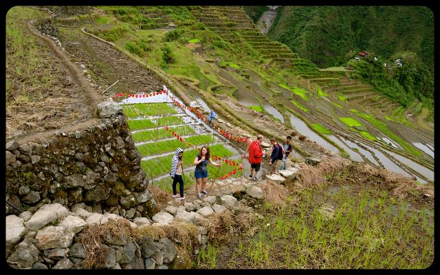Trekking in Batad Terraces