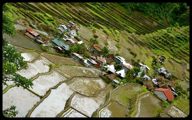 Batad Terrace View