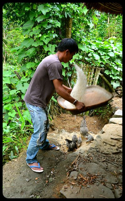 Sifting Rice in Batad
