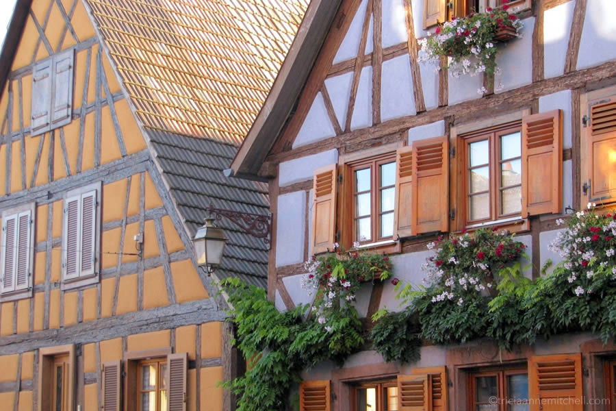 A golden home and a lavender neighboring building in the French village of Saint Hippolyte.