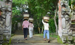 In Ubud, Bali, three women carrying baskets of soils on their heads.