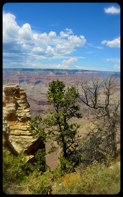 The Grand Canyon