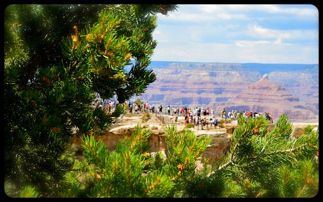 Tourists at The Grand Canyon Tourists at The Grand Canyon