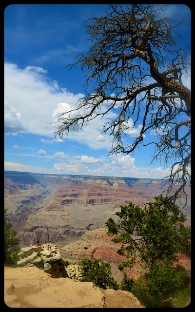 The Grand Canyon, Arizona