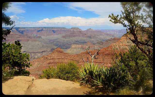 The Grand Canyon, Arizona The Grand Canyon, Arizona
