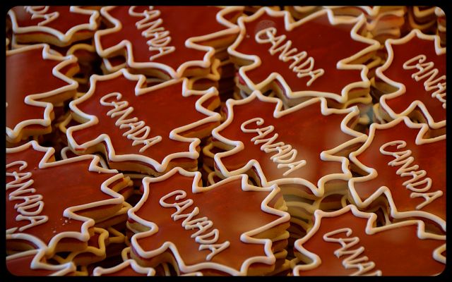 Canada Maple Leaf Cookies for Sale in Toronto