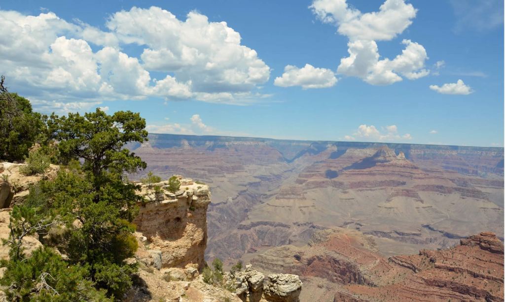 Trees frame the south rim of the Grand Canyon. The sky is blue, and there are white, fluffy clouds overhead.