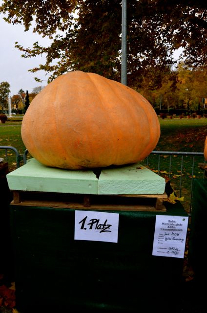 A first-place pumpkin at the Ludwigsburg Pumpkin Fest in Germany.