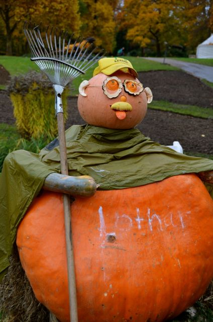A gardener figure, made out of pumpkins and holding a rake, at the Ludwigsburg Pumpkin Fest in Germany.