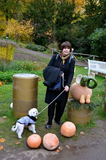 A woman walks a dog at the Ludwigsburg Pumpkin Fest.