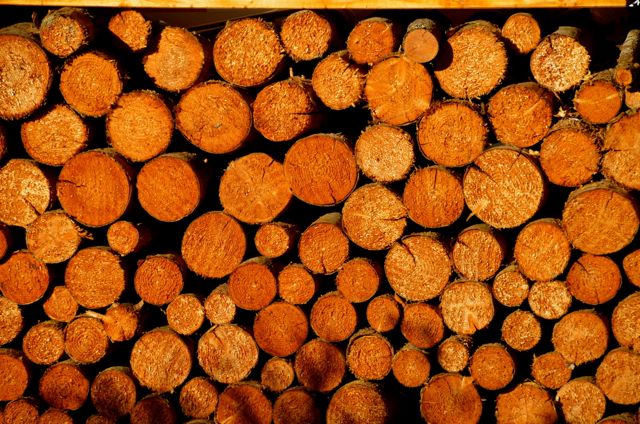 Wood ready for winter