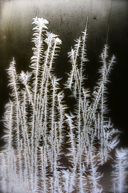 Oberammergau frost on window - germany