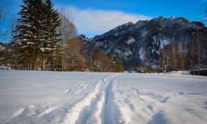 Cross country ski tracks cut through the snow in Oberammergau, Germany. Forested mountains are overhead.