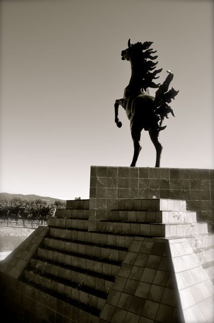 A statue of a horse at the Black Stallion Winery in California.