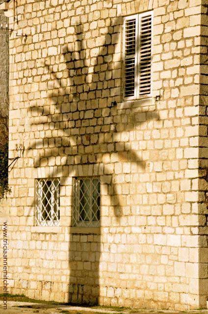 A palm tree casts shadows on the wall of a stone building in Trogir, Croatia.
