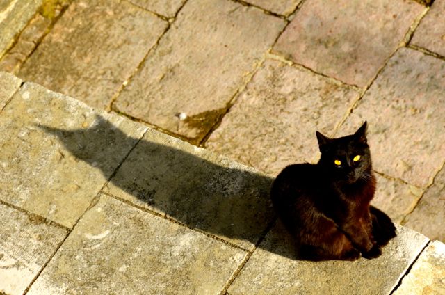 Kotor Montenegro Visit Must See42