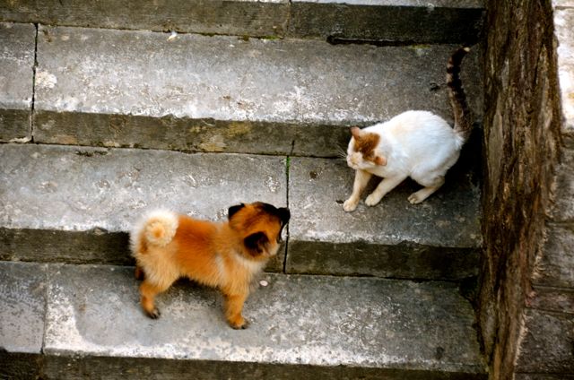 Kotor Montenegro Visit Must See45