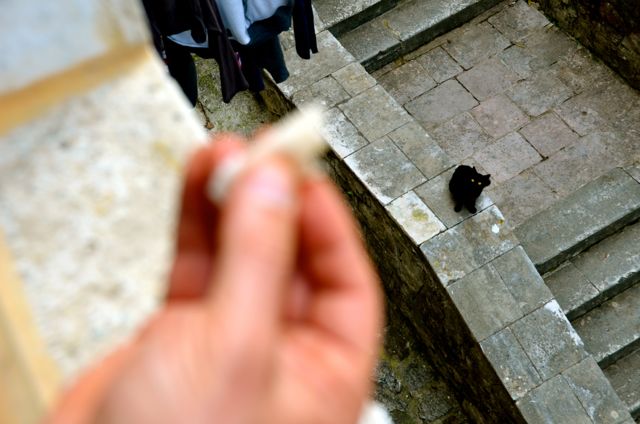 Kotor Montenegro Visit Must See52