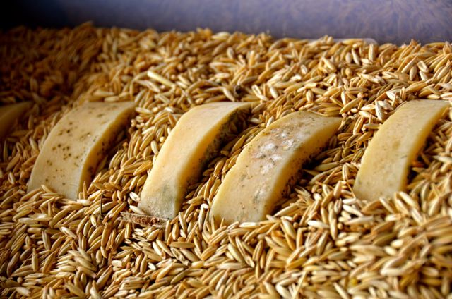 Kotor Montenegro Visit Must See68