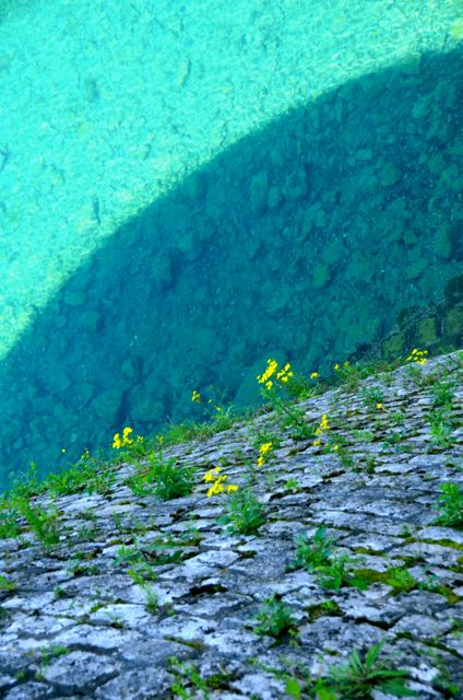 Neon blue water fills a moat outside Old Town Kotor.