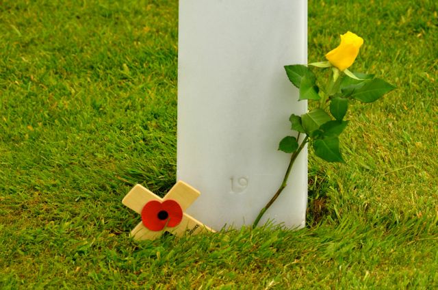 dday2013normandy poppy and rose