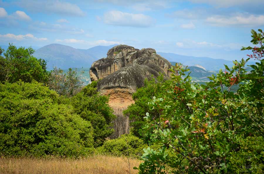 A tree with red berries is visible in the foreground, with mountains and Meteora, Greece's rock formations in the background.