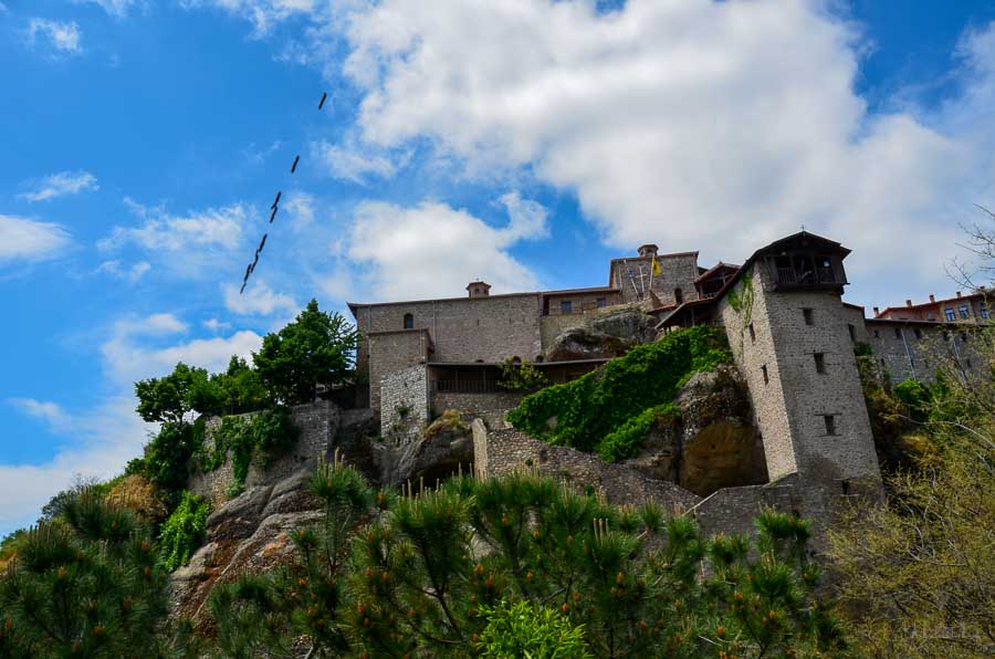 A process of black caterpillars climb along a silken cord to a branch near the Meteora Monasteries in Greece. A monastery towers above the scene with a blue sky overhead.