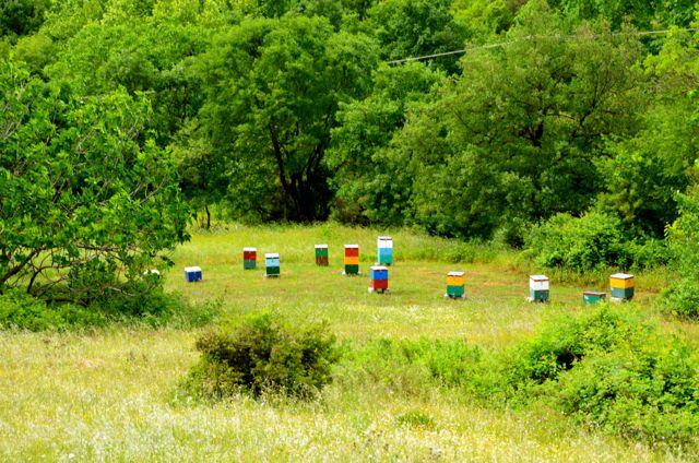 bee huts in Greek countryside