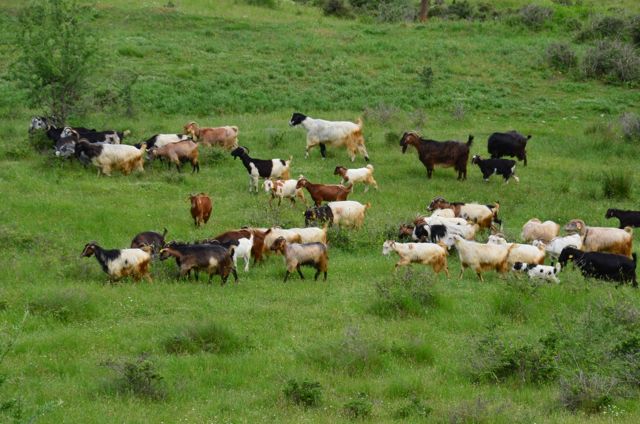 MeteoraMonasteryHikingRouteTourGreece019