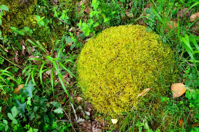 MeteoraMonasteryHikingRouteTourGreece026