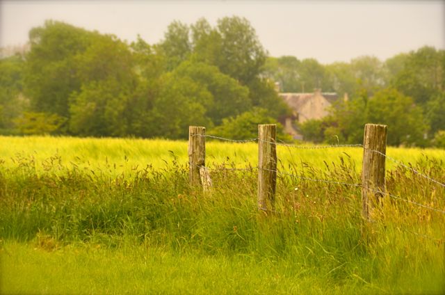 Normandycountrysideon6june2013