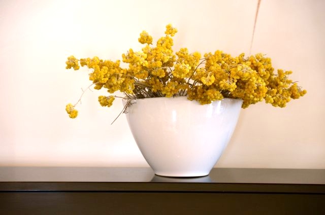 Santorini Restaurant Wine Food Cooking Class Selene Greece65