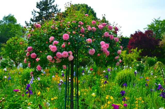 Claude Monet Garden Visit Giverny19