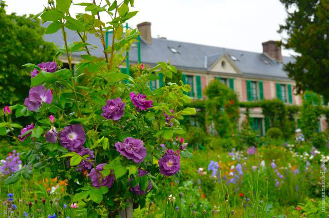 Claude-Monet-Garden-Visit-Giverny58